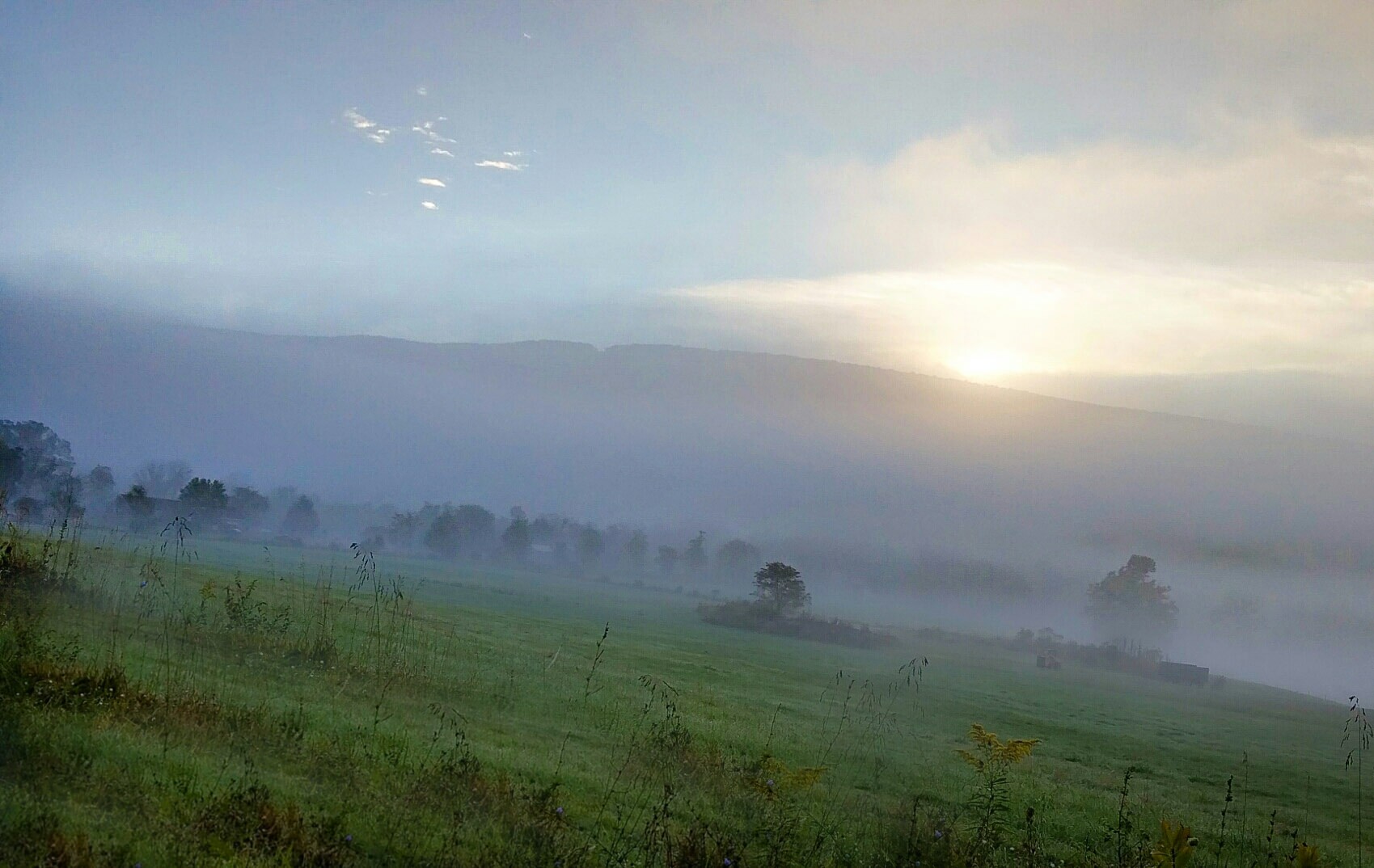 Field of Fog by Javcon117 on Flickr. For more information, see: https://www.flickr.com/photos/javcon117/15341180415/